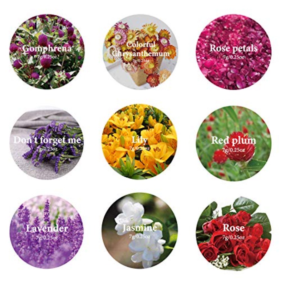 9 Paket Kurutulmuş Çiçekler, % - Dried Herbs incelemesi ve fiyatı